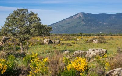 El Monte Abantos y su entorno