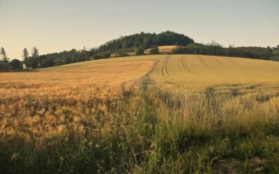 Turismo rural en Peguerinos: escapada perfecta a una hora de Madrid