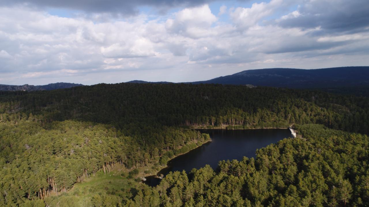 WhatsApp Image 2026-01-06 at 18.54.31 (2)