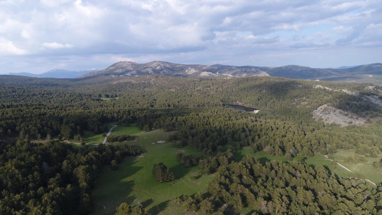 WhatsApp Image 2026-01-06 at 18.54.32 (1)