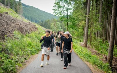 Team building con dinámicas de grupo al aire libre, retos colaborativos y mucho más