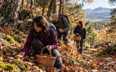 Descubre algunas rutas micológicas en Ávila que no puedes perderte